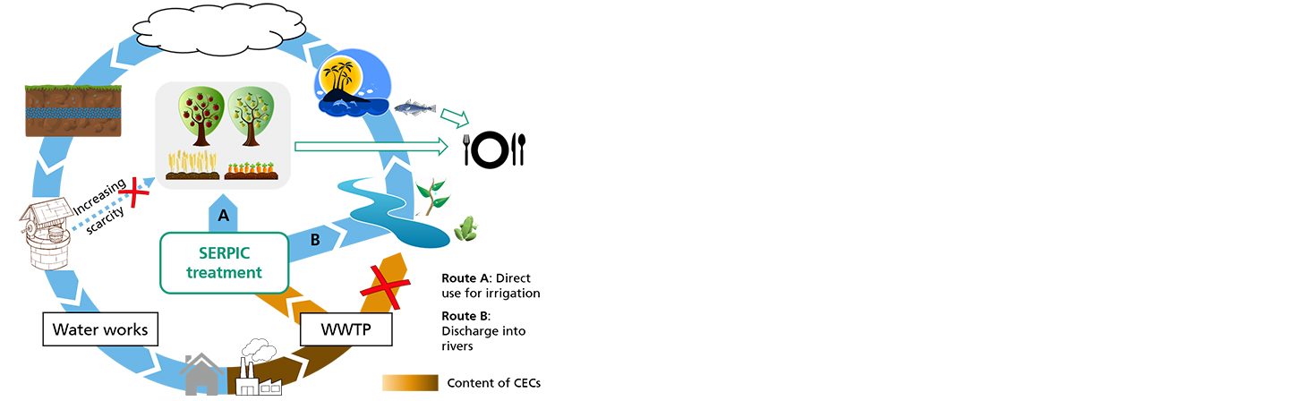 SERPIC reduces micropollutants from the water generated by wastewater treatment plants and makes it available for irrigation.